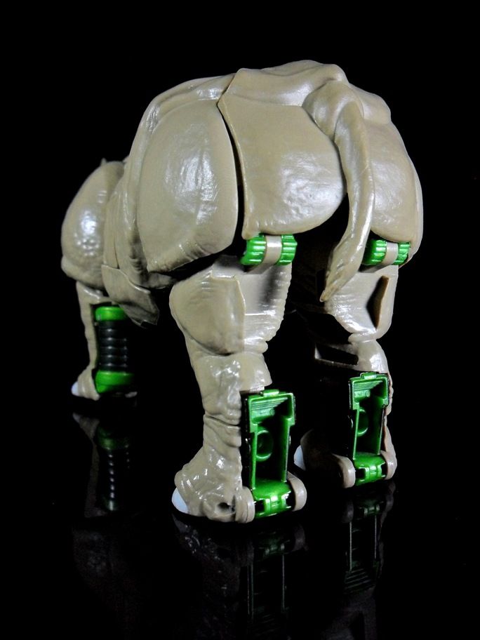 generations rhinox